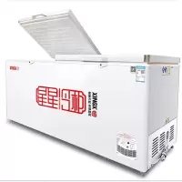 星星 (XINGX) 冷藏冷冻 雪糕冰柜 保鲜冻货商用冰箱BD/BC-358G (集采40台起送)