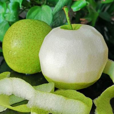 [西沛生鲜]精品绿皇冠梨 新鲜水果 松脆多汁 净重4.7-5.2斤装 西沛生鲜 特级大果