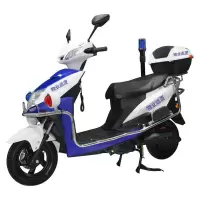 出极 搬运电瓶车 巡逻电动车 工具车 治安巡逻电瓶车 物业巡逻车 60v20a 含5块电池 前后警灯+喊话器(单位:台)