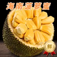 [熊猫鸟]海南黄肉菠萝蜜 新鲜水果 香甜可口 1个 净重20-25斤装 熊猫鸟