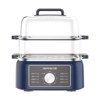 九阳多功能家用电蒸锅 DZ100HG-GZ666