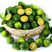 海南 青金桔 中果 500g (单位:斤)