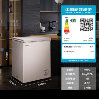 容声(Ronshen)100升小型冰柜冷冻冷藏迷你冷柜一级能效电脑控温
