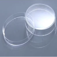 无菌培养皿 100cm 10个/包 48包/箱 CLS430293 货期4个月