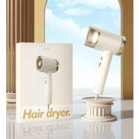 ApiYoo艾优(Apiyoo)罗马柱负离子吹风机女电吹风护发恒温速干滋养大功率PF1