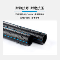 公元(ERA)PE100级管材PE给水管聚乙烯给水管PE100 PN0.8 dn160[1米]