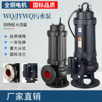 污水泵 80WQ30-30-5.5 口径80 扬程30米