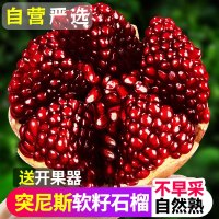 冠町 突尼斯软籽石榴5斤中果装 新鲜水果生鲜
