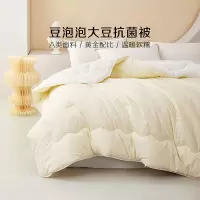 百丽丝家纺 A类抗菌面料大豆被春秋被/冬被/加厚冬被/二合一被学生宿舍家用被芯床上用品