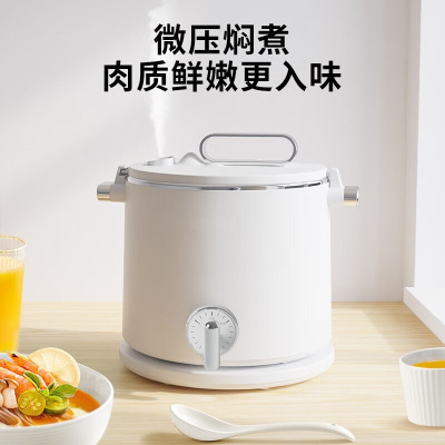 瑞翔 多功能电煮锅 MT-LC1815