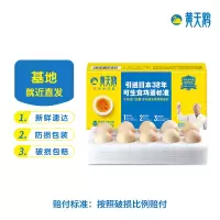 黄天鹅日本标准溏心蛋可生食鸡蛋 无菌新鲜鸡蛋 10枚530g装