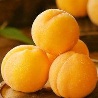 [西沛生鲜]山东新鲜黄金蜜桃 黄桃黄毛桃 净重4.5斤装 脆甜多汁当季现摘现发桃子