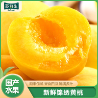 [苏鲜生]顺丰快递 山东新鲜黄金蜜桃 黄桃 新鲜水果桃子 产地直发 净重4.5斤装