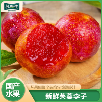 [苏鲜生]国产李子 福建古田芙蓉李 现摘现发精选 大果 净重2.5斤 新鲜水果