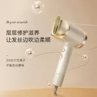 艾优 电吹风 负离子 吹风机护发恒温速干大功率 PF1