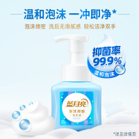 蓝月亮雪松泡沫抑菌洗手液255g/瓶10001610