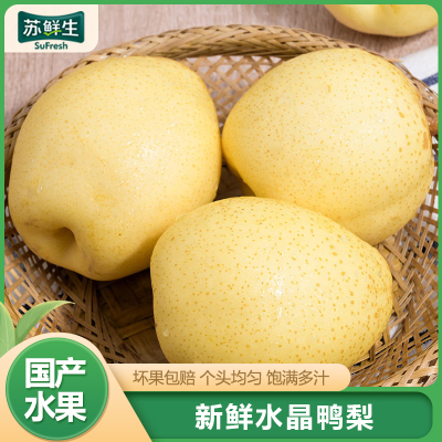 [苏鲜生]河北精品水晶鸭梨 新鲜水果 松脆多汁 净重4.7-5.2斤 单果200g以上