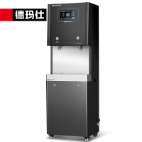 德玛仕(DEMASHI) 商用净水器饮水机SRZ-600/SRZ-2L-L5 一开一净 220V