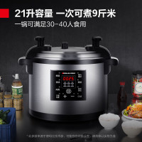德玛仕(DEMASHI) 21L全不锈钢多功能压力锅YBD21B-250