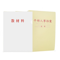 晨好 干部人事档案盒A4 1个+散材料夹10个一组装