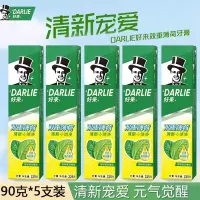 DARLIE好来(原黑人)双重薄荷牙膏家庭旅行装90g*5支 清新口气 防蛀固齿