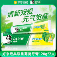 DARLIE好来(原黑人)双重薄荷牙膏家庭旅行装120g*2支 清新口气 防蛀固齿