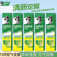 DARLIE好来(原黑人)双重薄荷牙膏家庭旅行装120g*5支 清新口气 防蛀固齿