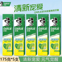 DARLIE好来(原黑人)双重薄荷牙膏家庭旅行装175g*5支 清新口气 防蛀固齿