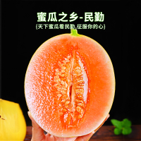 冠町 甘肃民勤沙漠蜜瓜9斤装净重约8-9斤 金红宝黄金蜜瓜新鲜水果