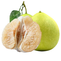 [西沛生鲜]海南新鲜白肉柚 2-5个 带箱9斤装 新鲜柚子水果 蜜柚西沛