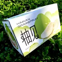 [西沛生鲜]礼盒装 海南新鲜白肉柚 带箱5斤装 新鲜柚子水果 蜜柚西沛