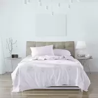多喜爱 第二代舒馨复合蚕丝秋被203*229cm