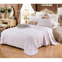 富安娜丝蕴蚕丝被