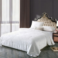 紫韵嫣然御品蚕丝被ZY-H8107 200*230cm