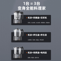 九阳破壁豆浆机家用DJ10P-D980