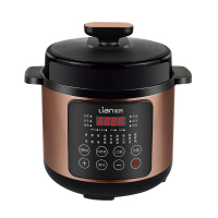 联创Lian DF-BL6036M 电压力锅 额定容量4L 24小时预约功能