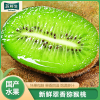 [苏鲜生]陕西翠香猕猴桃 当季新鲜水果 6枚装 单果90-110g 大果 新鲜水果 西沛