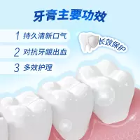 云南三七牙膏(清新留兰)升级版V 清新口气多效护理添加云南三七活性成分清新留兰型牙膏220g