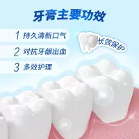 云南三七牙膏(舒爽薄荷)升级版V 清新口气多效护理添加三七活性成分舒爽薄荷型牙膏180g