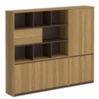 舜灏 SH-XW-2423 文件柜2.3(单位:个)