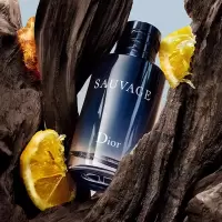 迪奥(Dior)迪奥(Dior)旷野男士淡香氛60ml 清爽木香调 男士香水 七夕情人节生日礼物