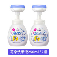 花王(kao)日本花王KAO花朵猫爪儿童洗手液宝宝泡沫型弱酸性清洁剂250ml*2