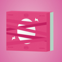 阿芒迪娜月饼 花开享月