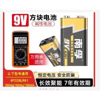 南孚9V电池 009