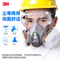 3M 防沙尘暴防护面具620E防毒面具面罩防化工喷漆防尘中号