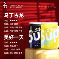 Sup潮牌空气清新剂固体香氛香薰