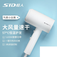 SID超人电吹风 RD1650