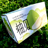 [西沛生鲜]礼盒装 海南新鲜泰国青柚 净重4.5斤 2-3个装 单果700-2000g 新鲜柚子水果 海南种植