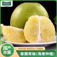 [苏鲜生]海南种植泰国青柚 净重4.5斤 1-3个 单果700-2000g 当季新鲜孕妇水果