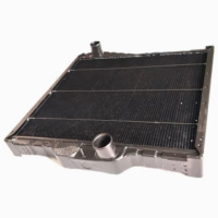 金御指 发动机散热器水箱总成13A07B-001 适用于东风EQ2102N运输车